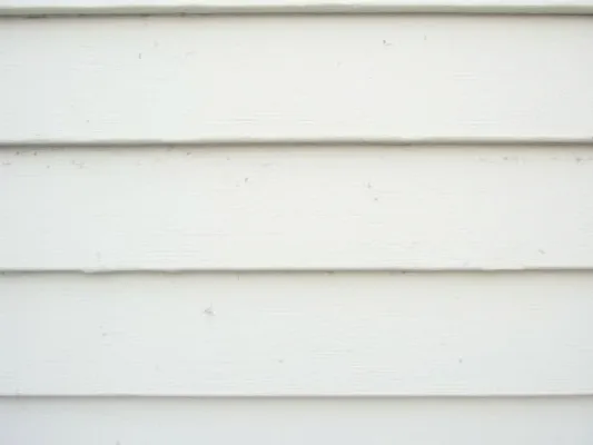 Siding Cleaning